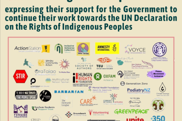 The image says "50+ organisations have signed an open letter expressing their support for the Government to continue their work towards the UN Declaration on the Rights of Indigenous Peoples", and shows a gallery of the many organisations participating.